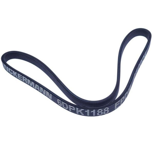 EBG Pasek napędowy wielorowkowy Seat VW 045260849