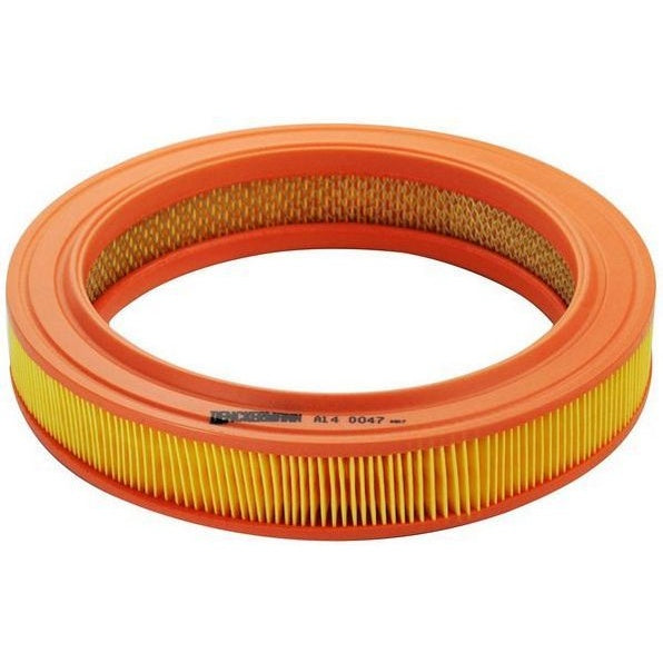 EBG Filtr powietrza silnika Ford 1444L5 6080390 79BF9601AA