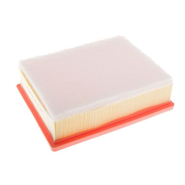 EBG Engine air filter Renault 165461783R