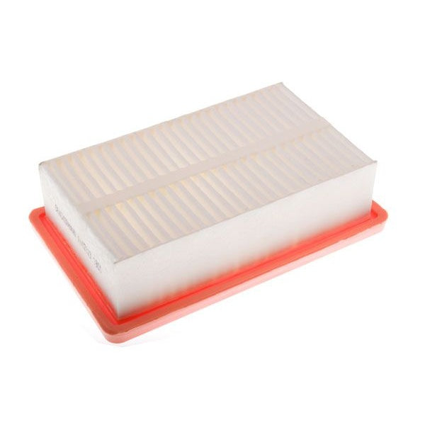 EBG Engine air filter Renault 165462683R
