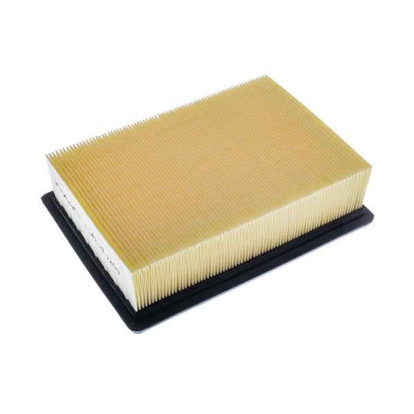 EBG Ford 5182117 Engine Air Filter