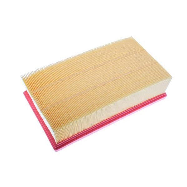 EBG Renault Engine Air Filter 165466515R
