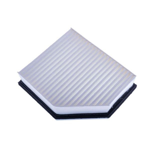 EBG Nissan Engine Air Filter 165466RA0A
