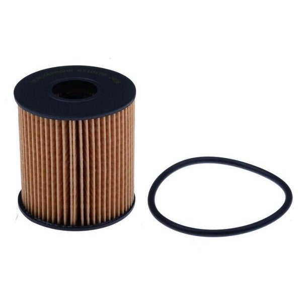 EBG Lubrication oil filter Citroën Fiat Ford 11427557012 11427622446