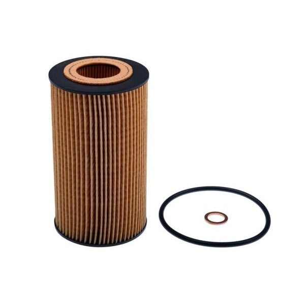 EBG Filtr oleju smarowania BMW MG Rover 11422247018 GFE391 LRF100150