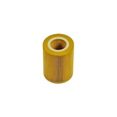 EBG Volvo Land Rover 30750013 Lubrication Oil Filter
