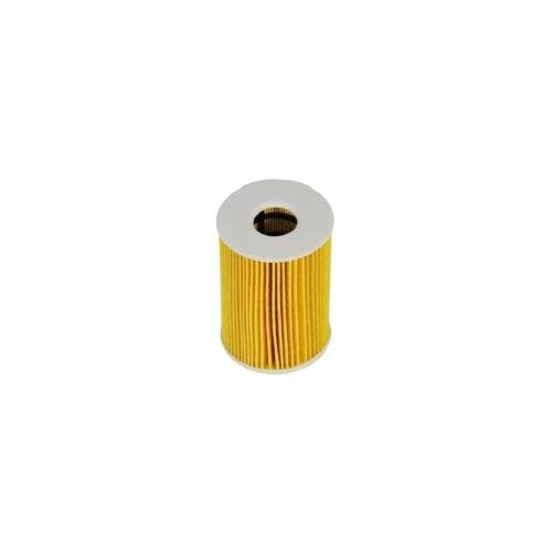 EBG Lubrication Oil Filter BMW 11427834734 11427840594