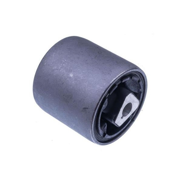 EBG Wishbone bush left right front BMW 31120393540