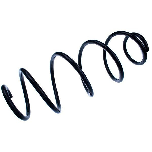 50701019