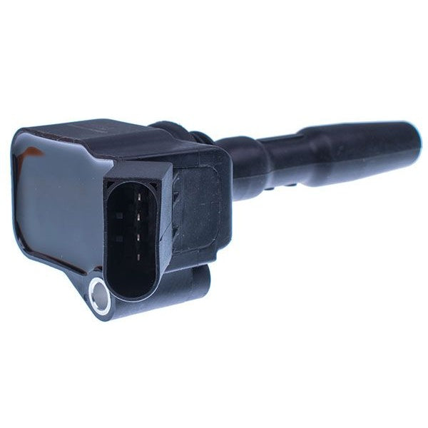 EBG Cewka zapłonowa iskrownik 04C 905 110 a Audi Seat Škoda 04C905110A