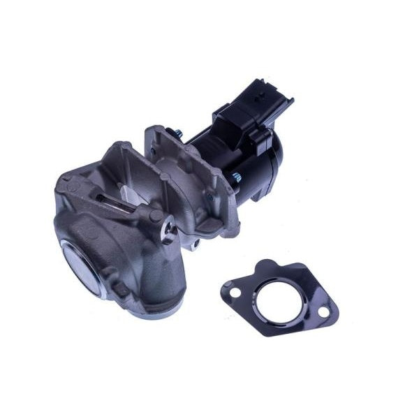 EBG Zawór AGR EGR 1618 59 Citroën Fiat Ford 161859 1618NR 1618.NR 1618.59