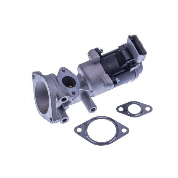 EBG Zawór AGR EGR Land Rover LR006988 LR009809 LR018323 LR006960 LR004533
