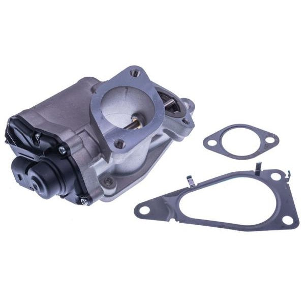 EBG Zawór AGR EGR Renault 8200796571