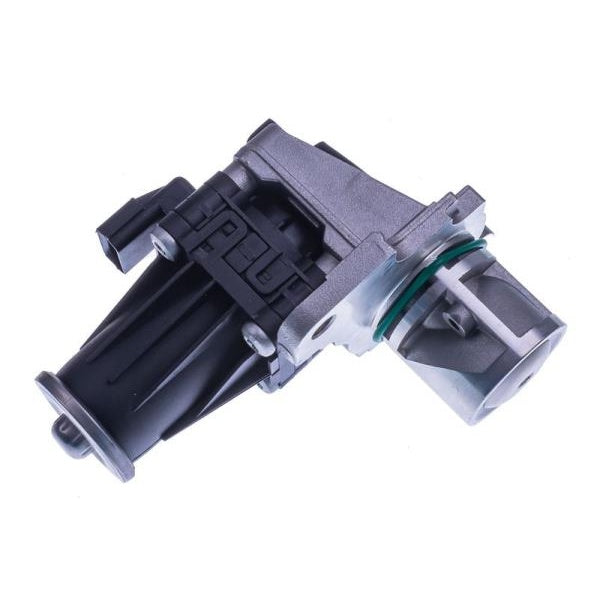 EBG Zawór AGR EGR Renault 8200129863