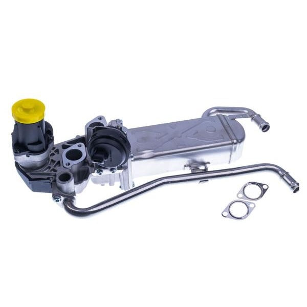 EBG Zawór AGR EGR Seat Škoda VW 03P131512B 03P131512D 03P131512E 03P131512C