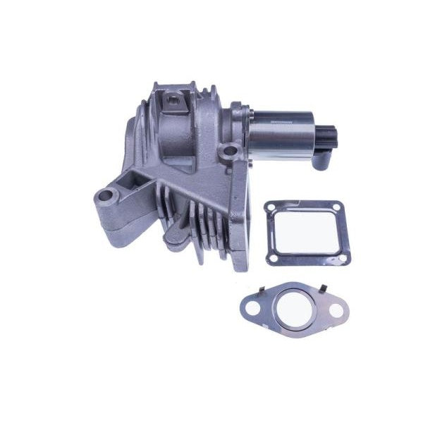 EBG Zawór AGR EGR Renault 147105300R 147171945R 7701058850 7701065038