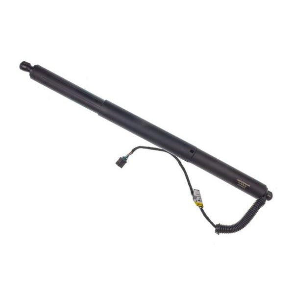 EBG Siłownik klapy tylnej elektryczny lewy prawy VW 3G9827851C