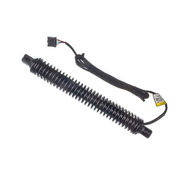 EBG Siłownik klapy tylnej elektryczny lewy BMW 51247207009