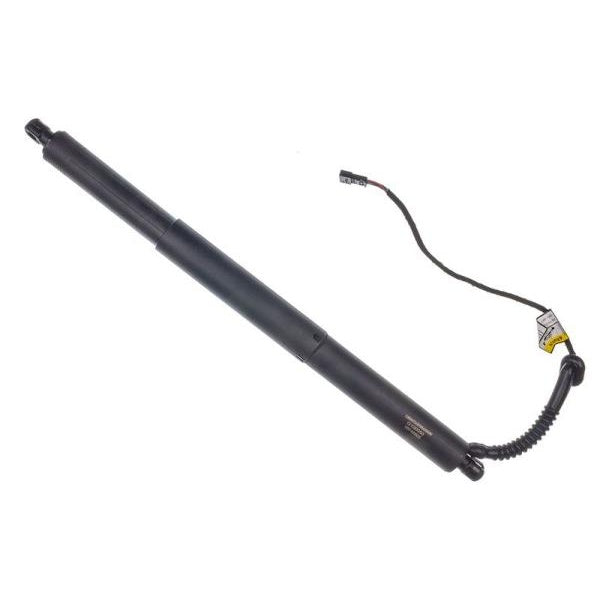 EBG Siłownik klapy tylnej elektryczny lewy BMW 51247294469