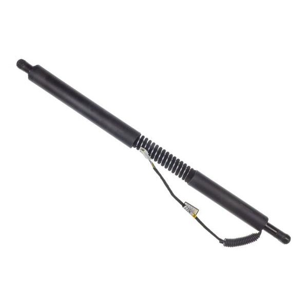 EBG Siłownik klapy tylnej elektryczny prawy BMW 51247298984