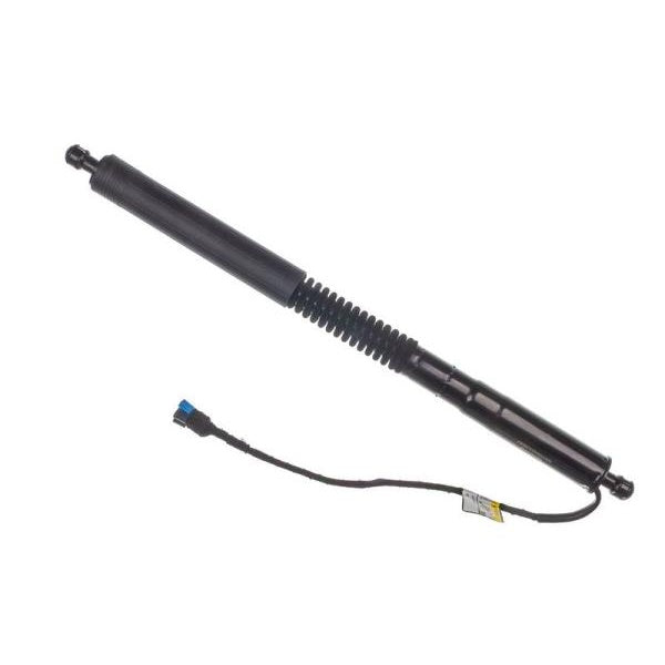 EBG Siłownik klapy tylnej elektryczny prawy BMW 51247397322