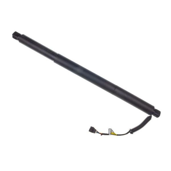 EBG Siłownik klapy tylnej elektryczny lewy prawy BMW 51247200543