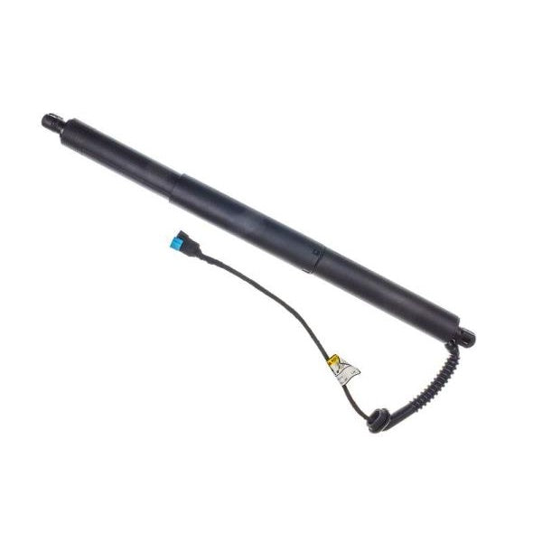 EBG Siłownik klapy tylnej elektryczny lewy BMW 51247434041 7434041