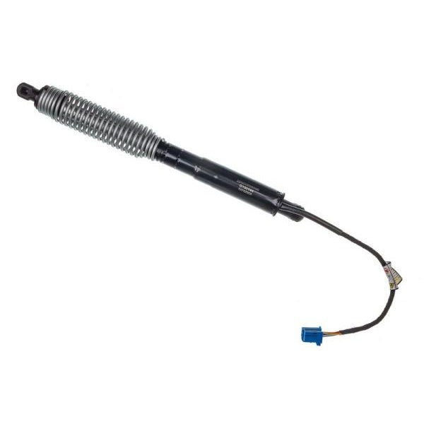 EBG Electric tailgate actuator right BMW 51247366404
