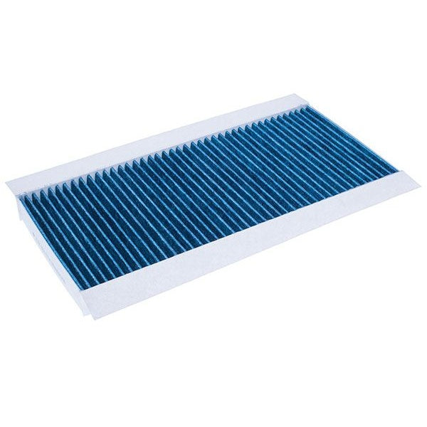 EBG Cabin Pollen Filter Ford 1062253