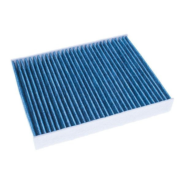 EBG Cabin Filter Pollen Ford 1204459