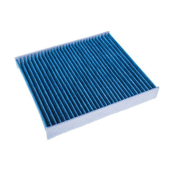 EBG Pollen Cabin Filter 1315686