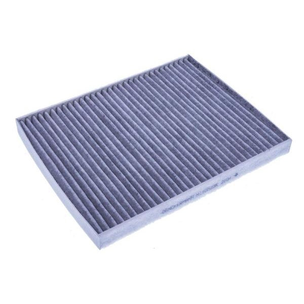 EBG Pollen Cabin Filter Ford 1566997 1701022 2092437 2495322