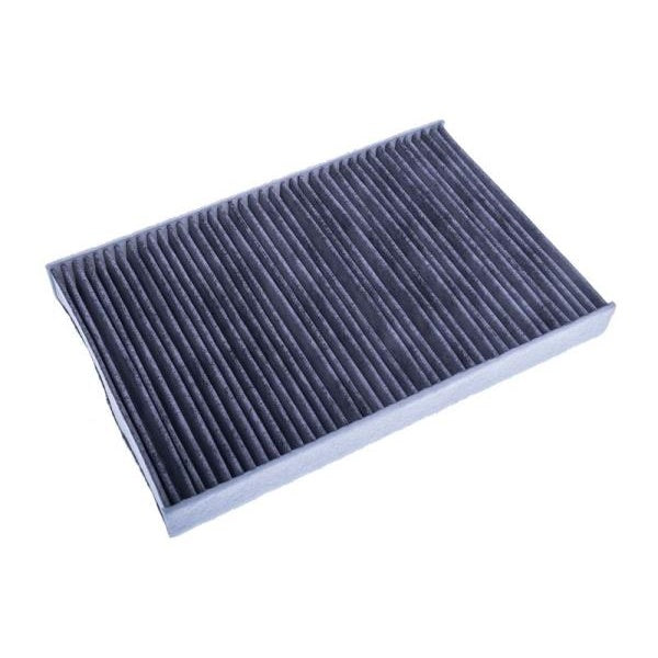 EBG Cabin pollen filter Iveco 002994769
