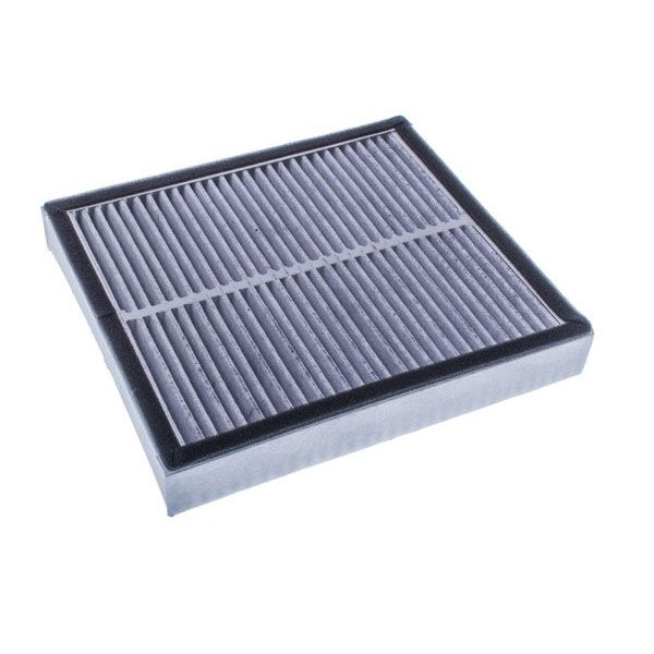 EBG Cabin Pollen Filter B72771CA0A