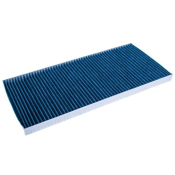EBG Cabin Filter Pollen Iveco 2995964