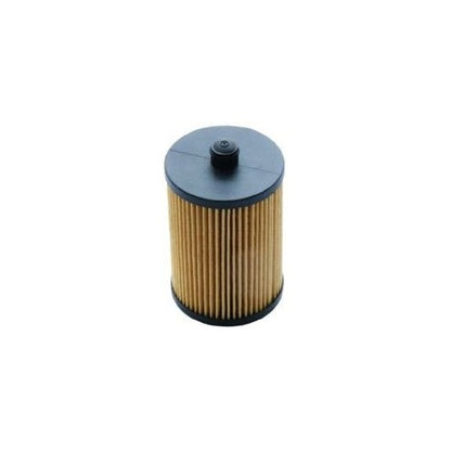EBG Filtr paliwa Volvo 31303261