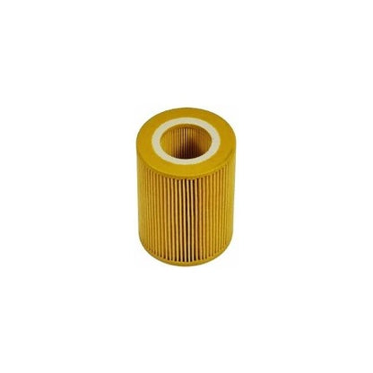 EBG Filtr oleju smarowania Volvo Land Rover 30750013