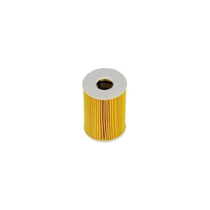 EBG Filtr oleju smarowania BMW 11427834734 11427840594