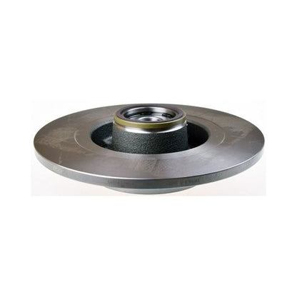 EBG Tarcze hamulcowe komplet tył 40 20 296 46R Renault 402029646R 432000007R