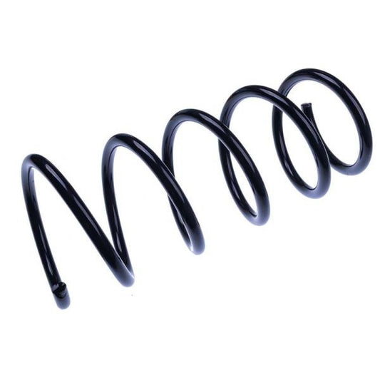 EBG Sprężyna zawieszenia tył coil spring Dacia 550202720R
