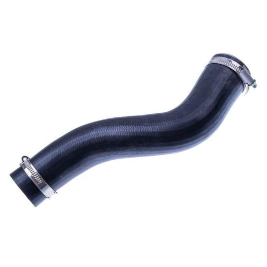 EBG Przewód powietrza doładowującego wylot Renault 8200775694