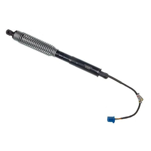 EBG Siłownik klapy tylnej elektryczny prawy BMW 51247366404