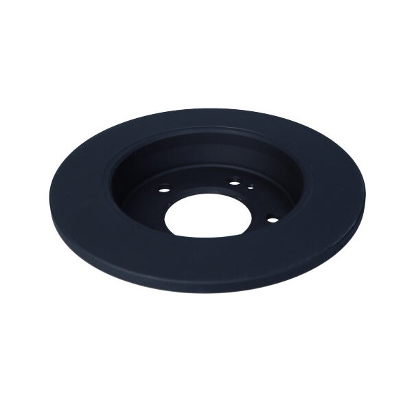 EBG Tarcze hamulcowe tył High Carbon Hyundai Kia 584113X300 58411A6300